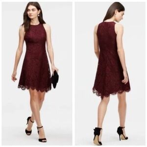 3/$15. Ann Taylor lace dress 0